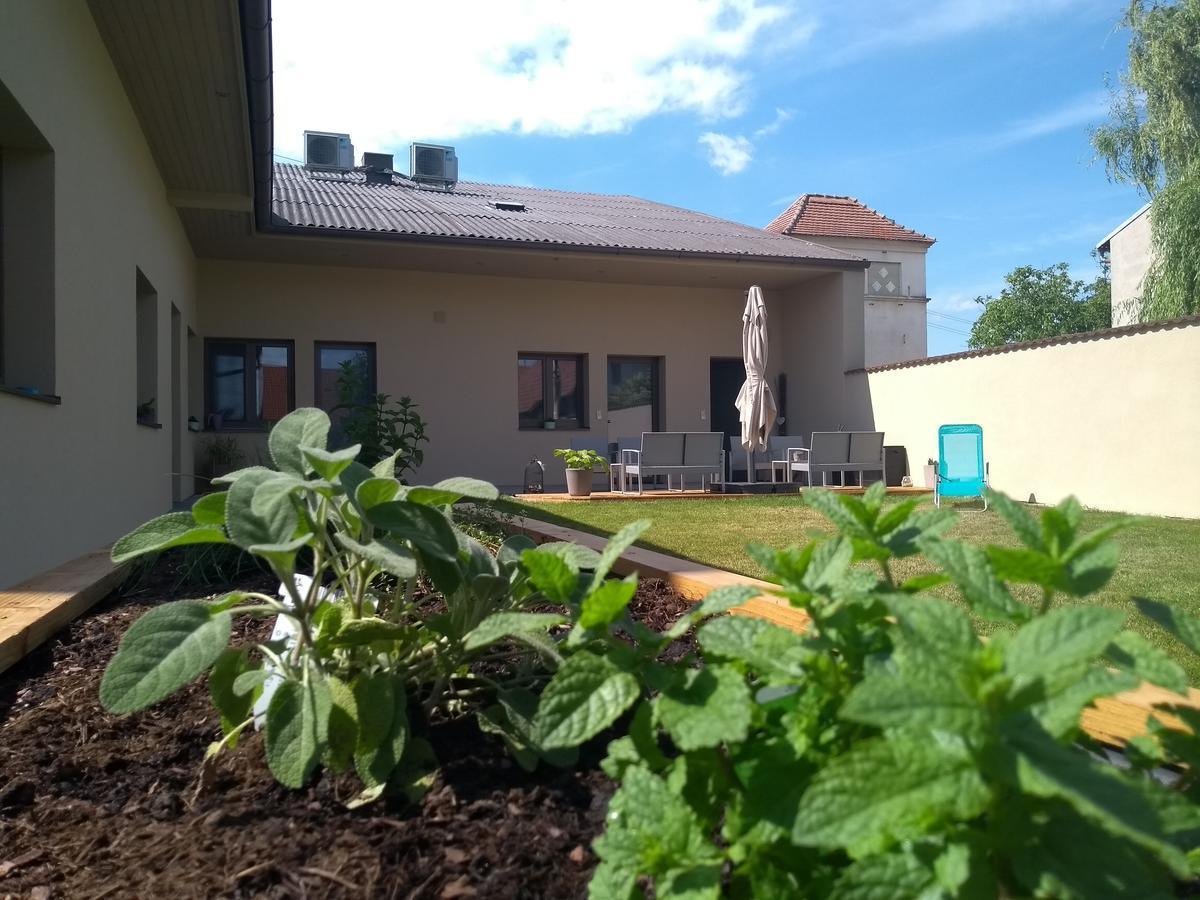 Sabines Apartments Ferienwohnungen Frauenkirchen Ngoại thất bức ảnh